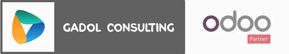 Gadol Consulting